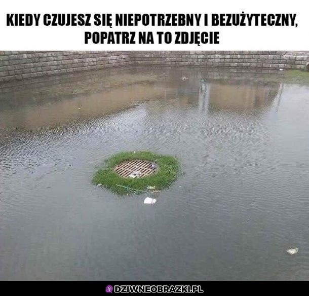Zawsze można być bardziej bezużytecznym