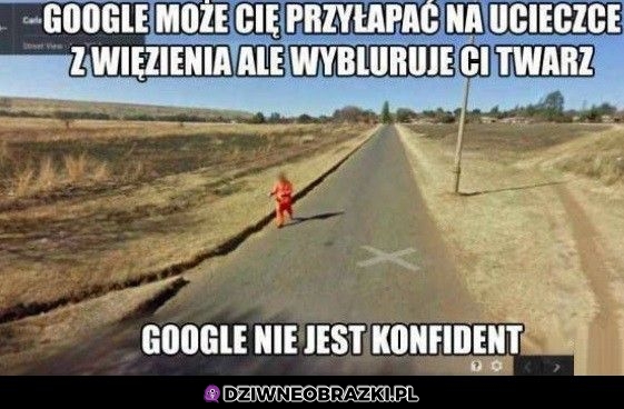 Dziękuję google