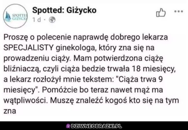 Poszukiwany specjalista