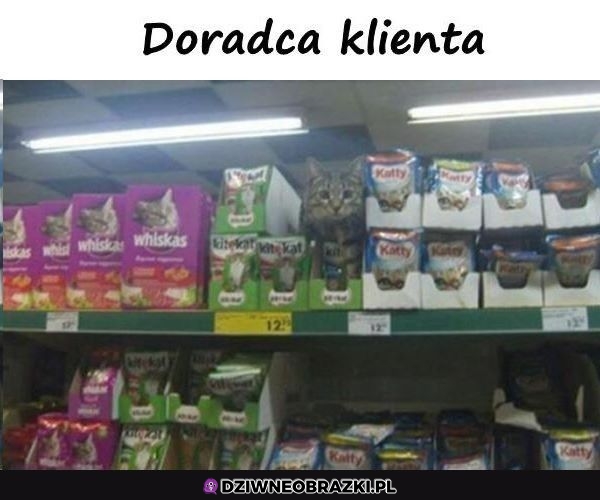 Najsłodszy doradca