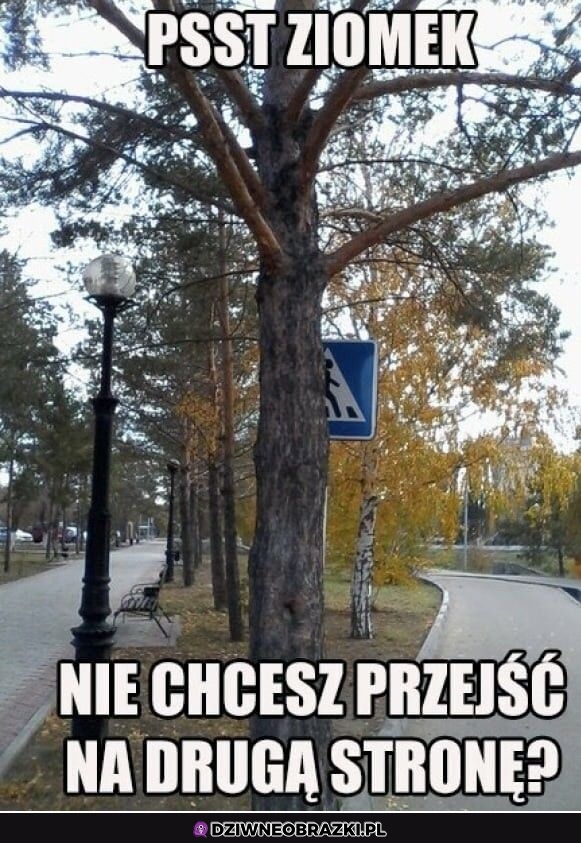 Psst ziomek