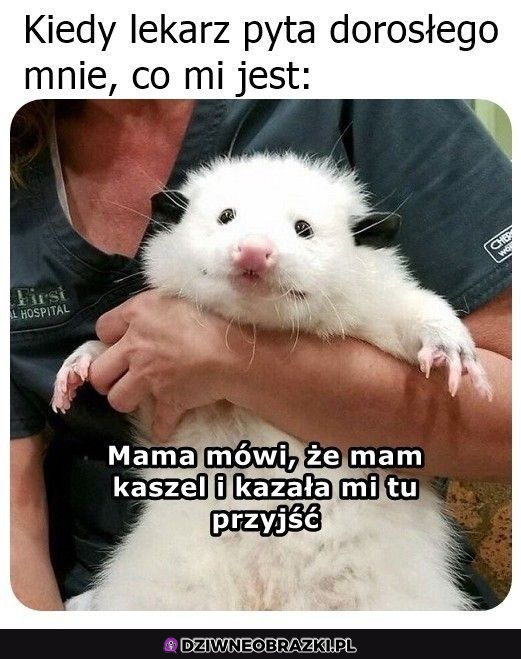 Mama zawsze wie co i jak 