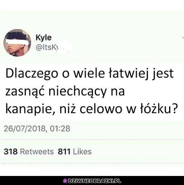 Dlaczego?