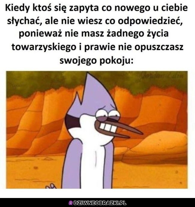 No sporo się dzieje