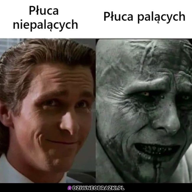 Takie płucka