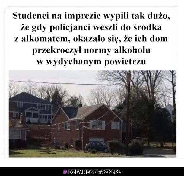 Tak trzeba imprezować