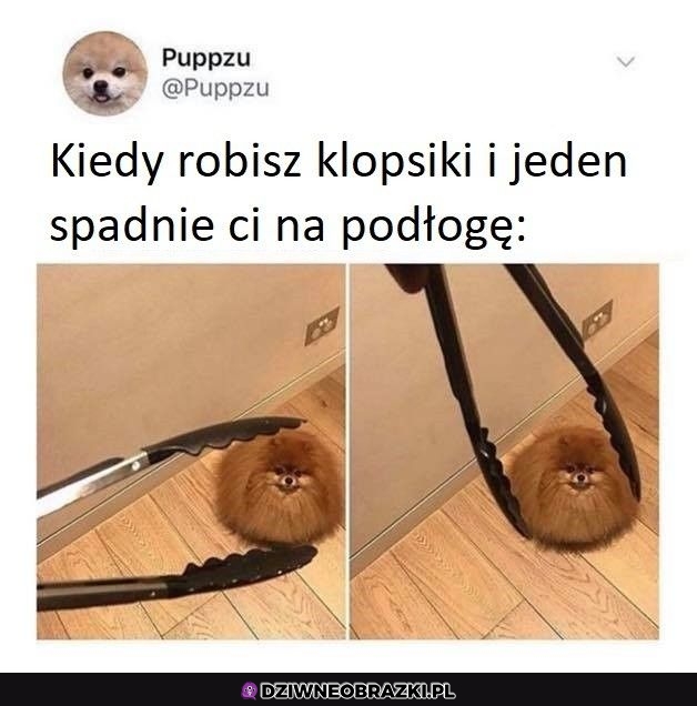 Słodki klopsik