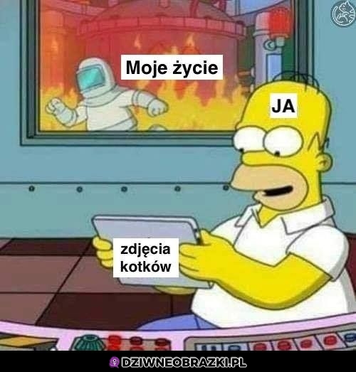 Wiadomo co jest w życiu ważne