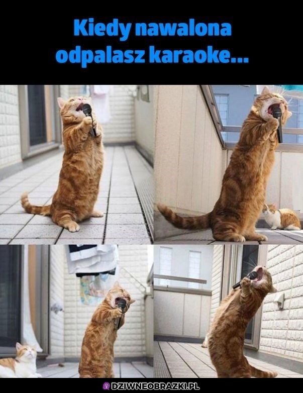 Ten moment