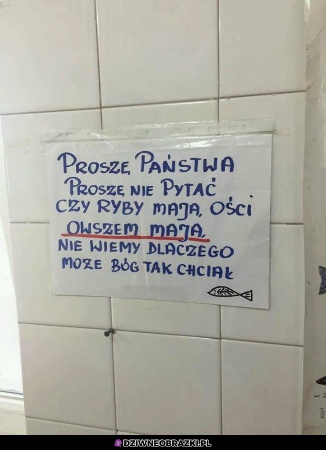 Ości w rybach