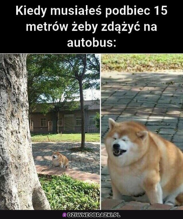 Najgorzej