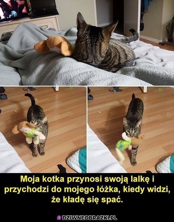 No i fajnie 