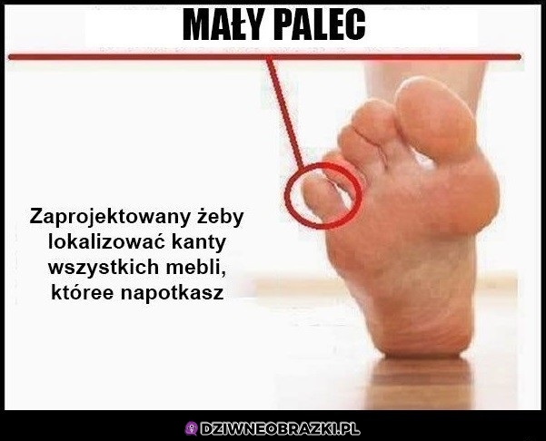 Mały palec