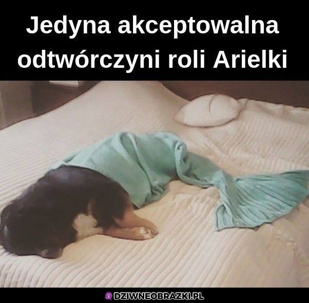 Najlepsza