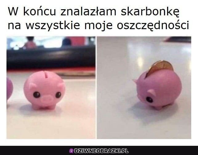 Skarbonka idealna