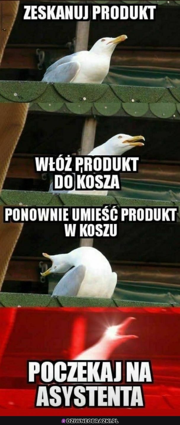 Kasy samoobsługowe takie są