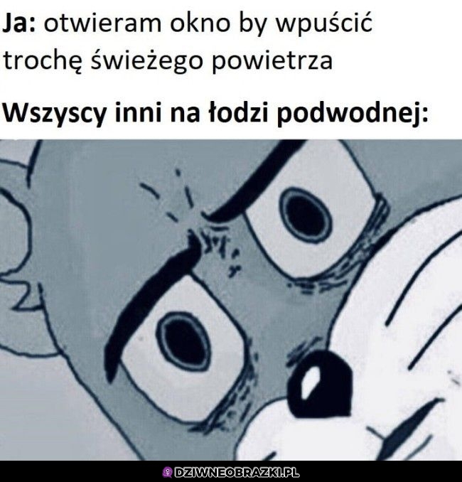 Świeże powietrze na łodzi