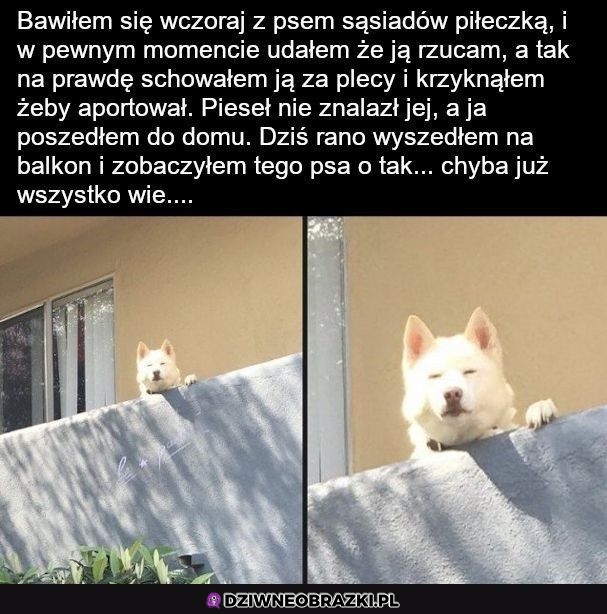 Chyba ogarnął