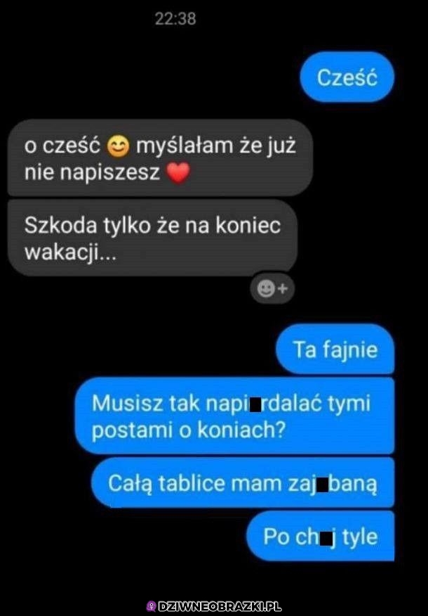 Kiedy gadasz z koniarą