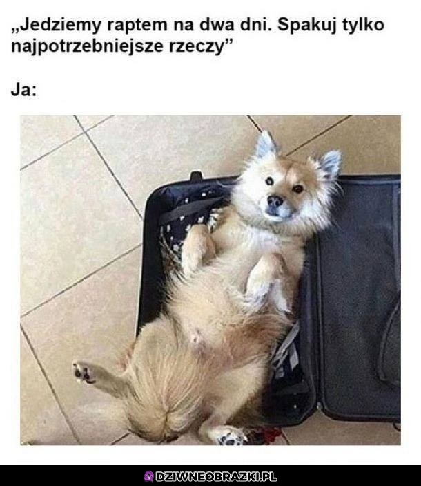 Spakowane