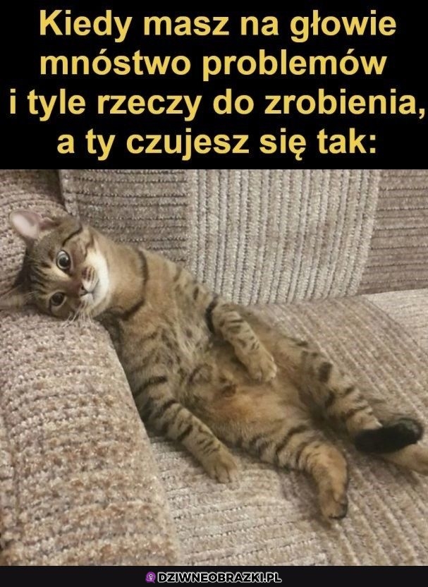 Zawsze tak się czuję