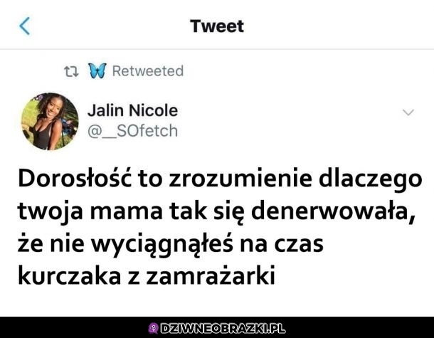 Bez kitu