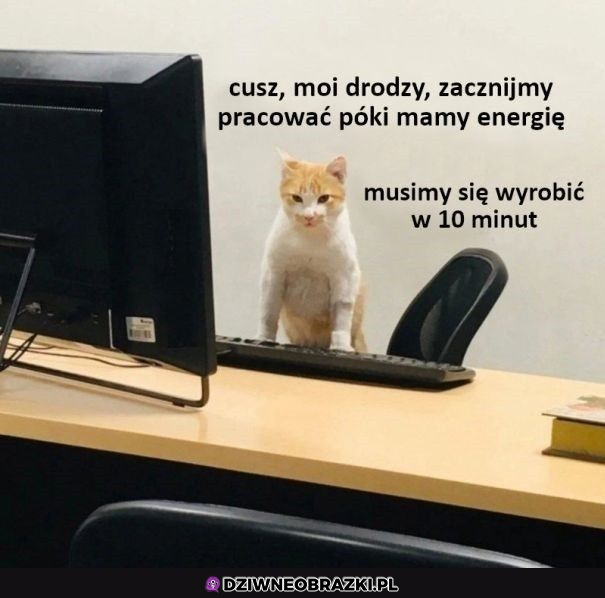 Ostatnie dziesięć minut pracy