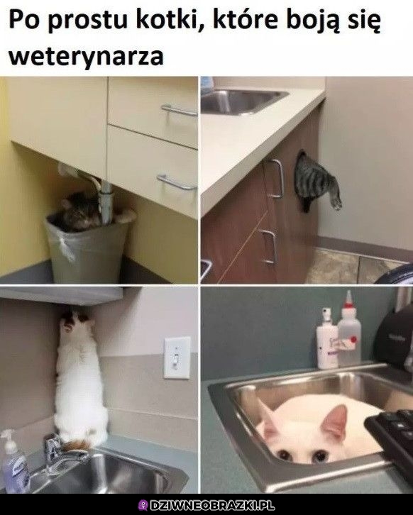 Nie ma ich tam