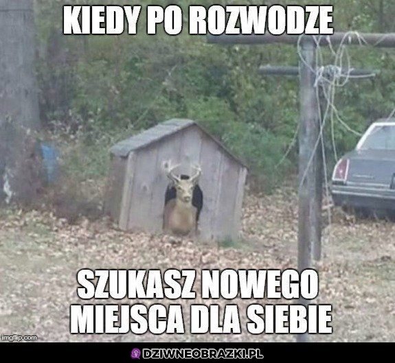 Po rozwodzie