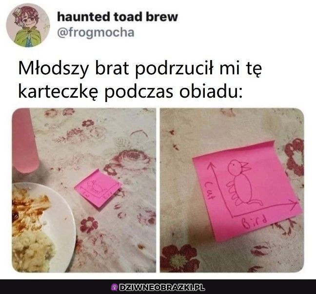 Pomysłowy brat