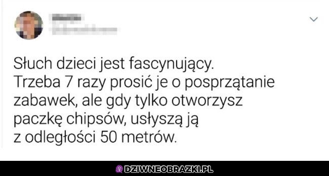 Niesamowity słuch