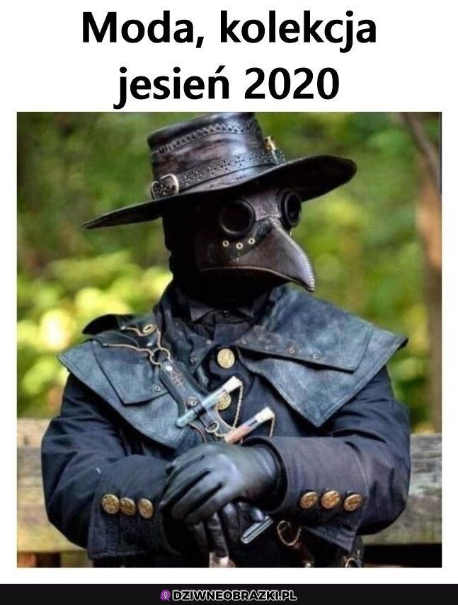 Gdzie to można kupić?
