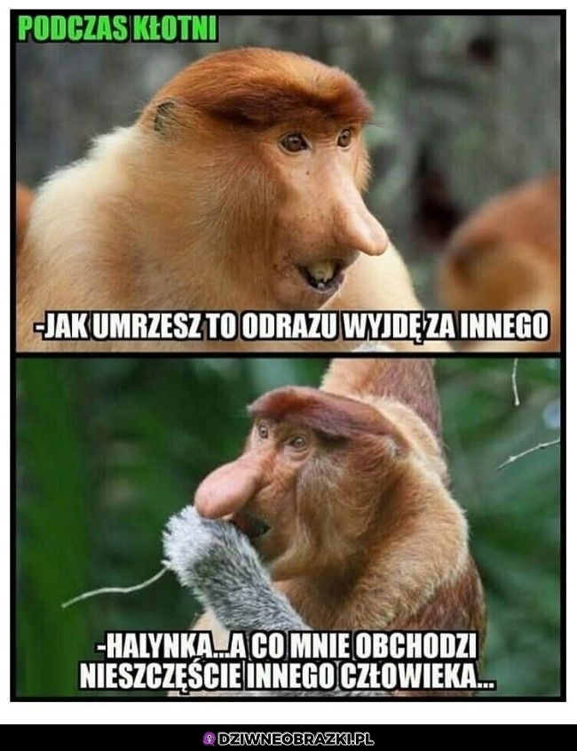 A co mnie to Halynka