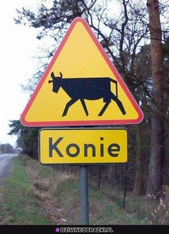 Trochę utyły