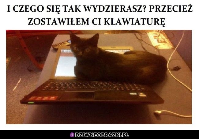 I po co ten wrzask?