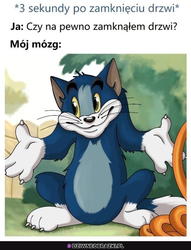 Nie wiem