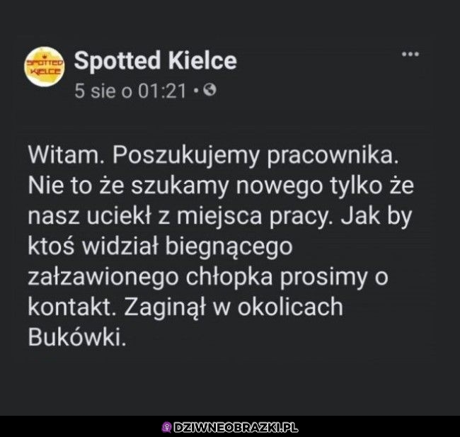 Poszukiwany pracownik