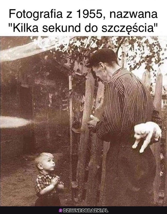 Ale musiała być radość