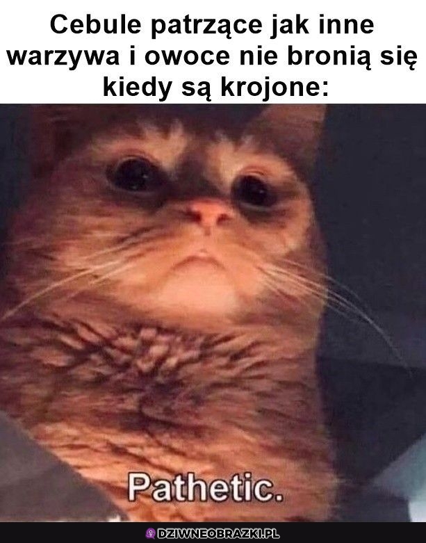Cebule vs reszta