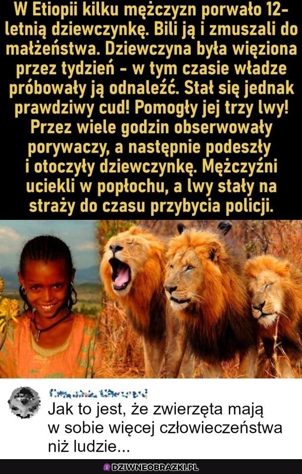 Co tam się wyrabia