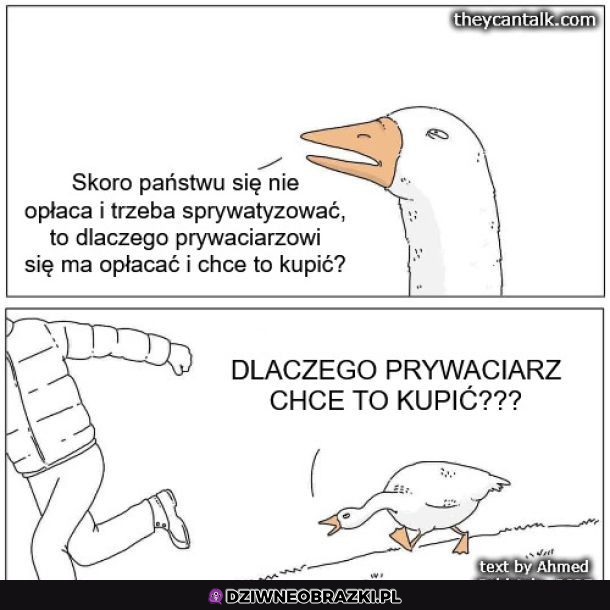 Kaczka polityczna