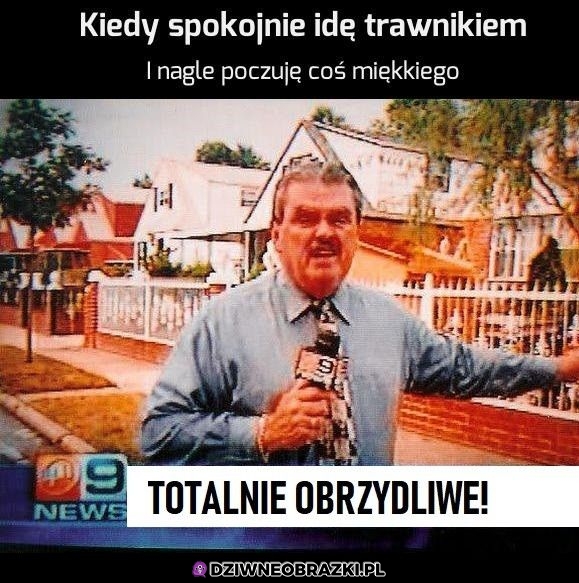Ten moment