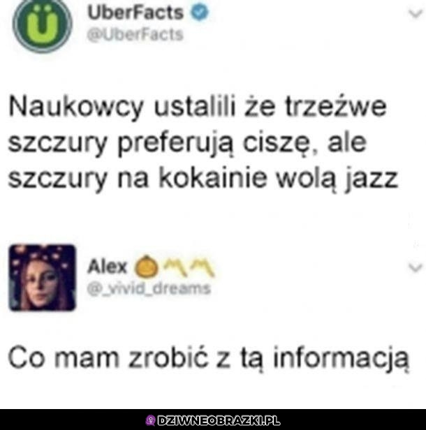 Jak mam żyć z tym faktem?