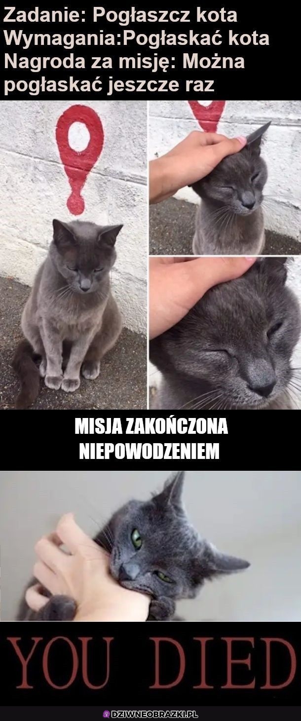 Misja głaskanie