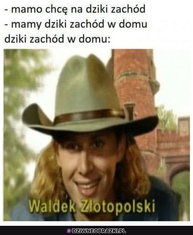 Dziki zachód