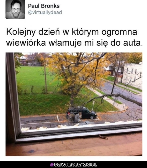 Znowu ona