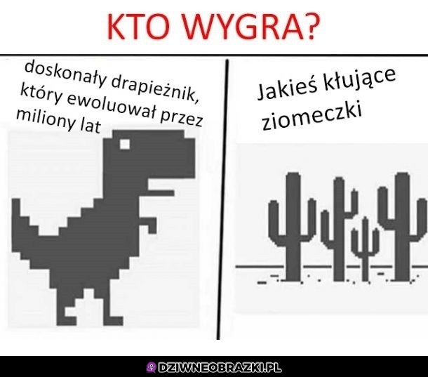Kto wygra?