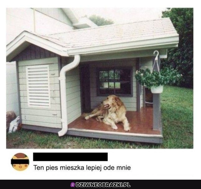 Ode mnie też