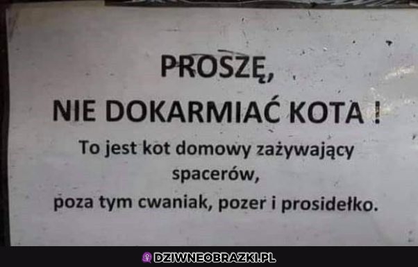 Nie dokarmiać!