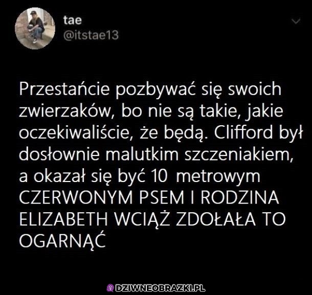 Nie pozbywajcie się zwierząt